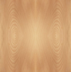 Door Texture